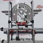 CARADO T447 FIAT